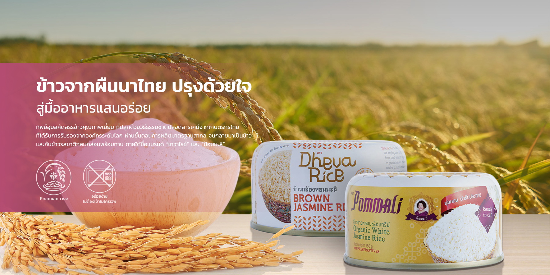 TH02 - 5 Canned 1920 x 960px